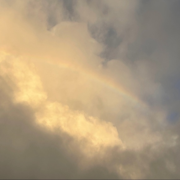 Meet your Posher, Johnna-lee - Picture 3 of 5